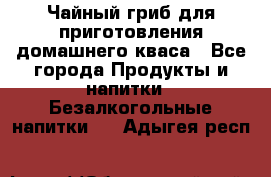 Чайный гриб для приготовления домашнего кваса - Все города Продукты и напитки » Безалкогольные напитки   . Адыгея респ.